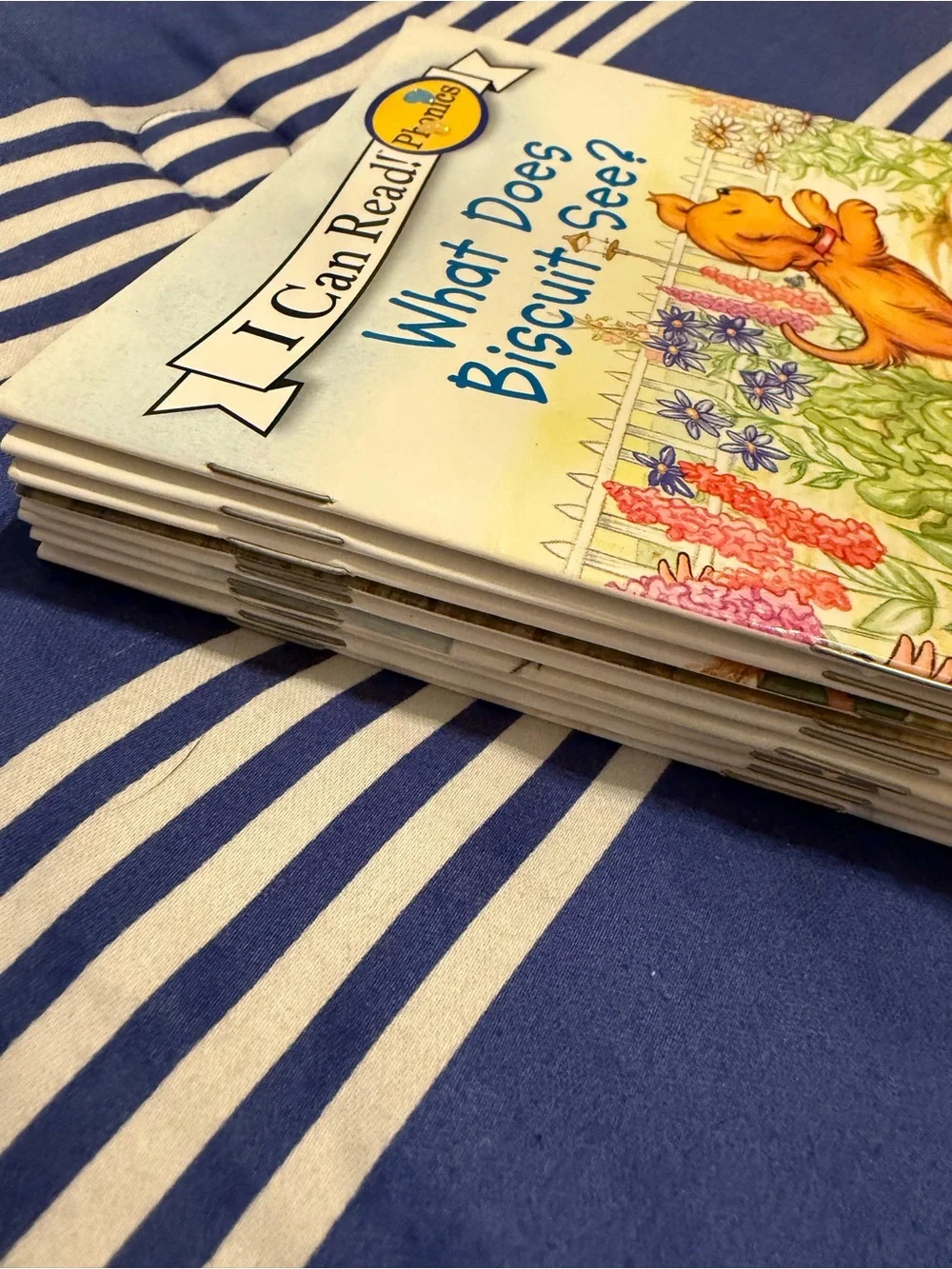 Phonics: What Does Biscuit See? - Blue Cover